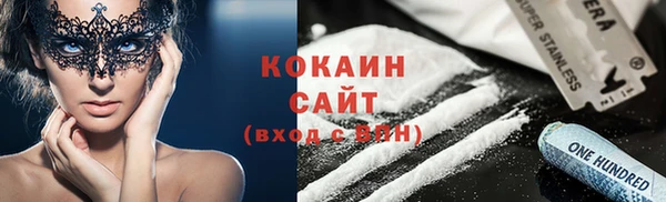 ГАЛЛЮЦИНОГЕННЫЕ ГРИБЫ Верея