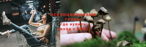 ГАЛЛЮЦИНОГЕННЫЕ ГРИБЫ Верея