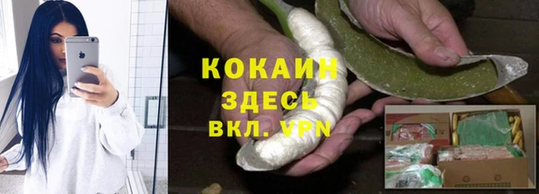 ГАЛЛЮЦИНОГЕННЫЕ ГРИБЫ Верея