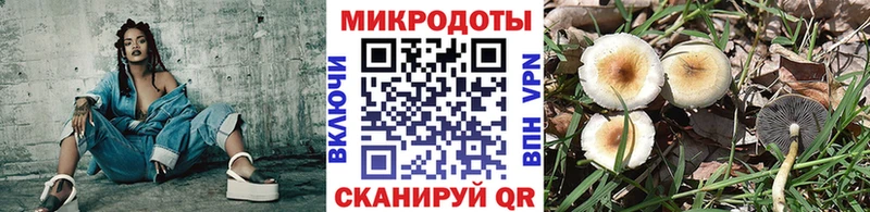 Галлюциногенные грибы GOLDEN TEACHER  Чебоксары 